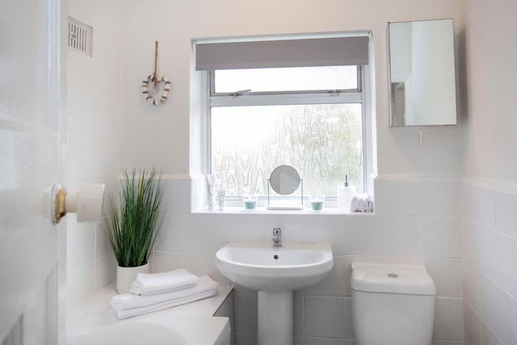 3 Bed House/Garden/Wi-Fi/Parking/Central Location Villa Guildford Eksteriør billede